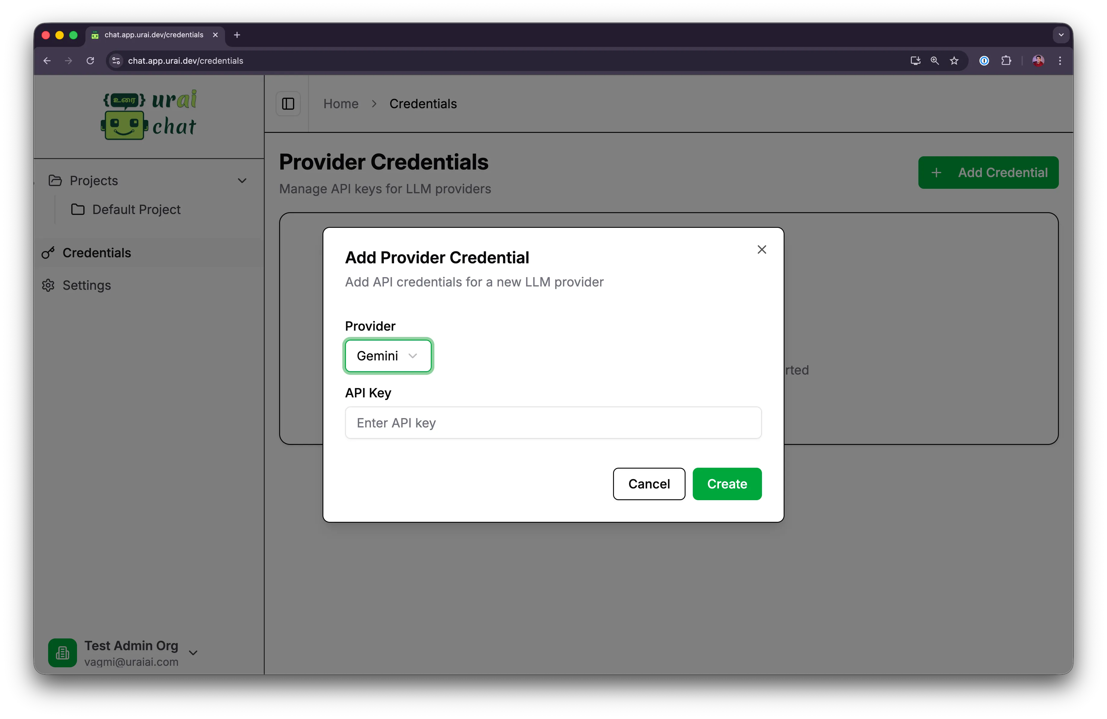 Entering the Gemini API Key