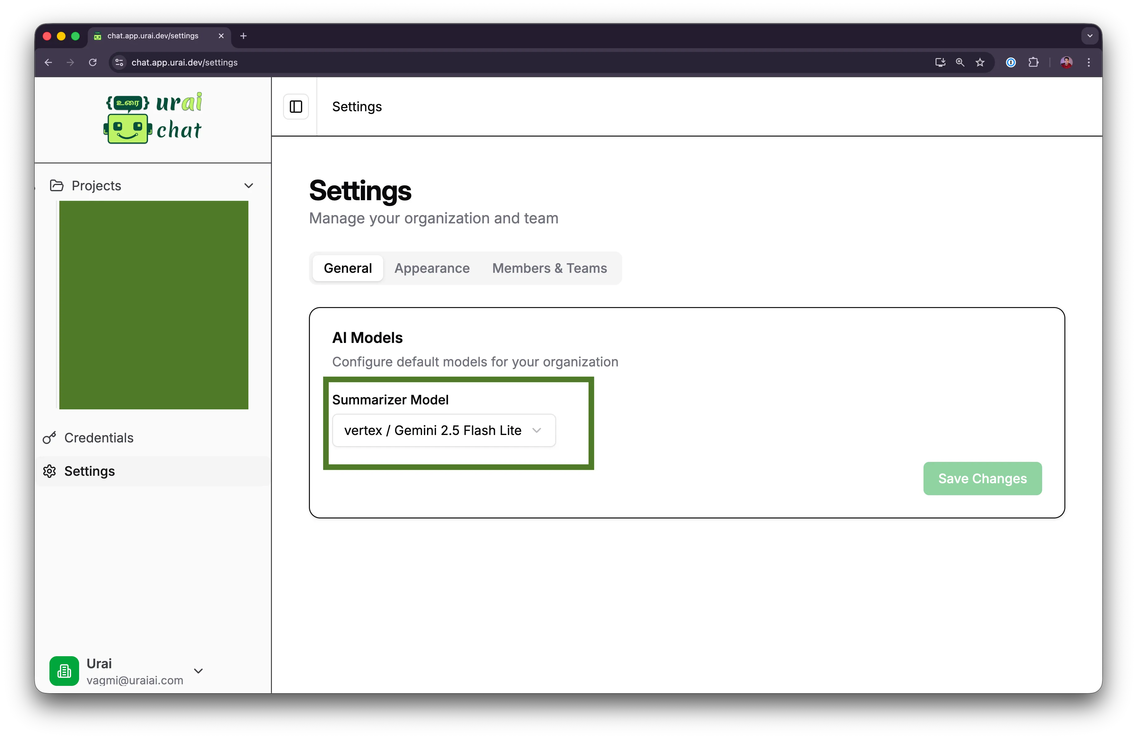 Setting the Summarizer Model